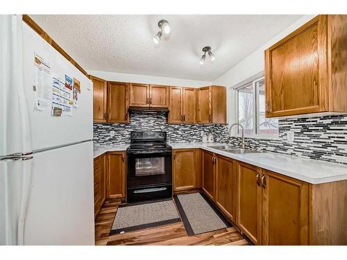 341 Martindale Boulevard Ne, Calgary, AB - Indoor Photo Showing Kitchen With Double Sink