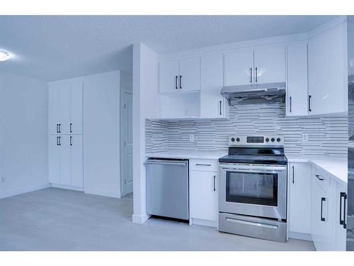 401 Martindale Boulevard Ne, Calgary, AB - Indoor Photo Showing Kitchen With Upgraded Kitchen