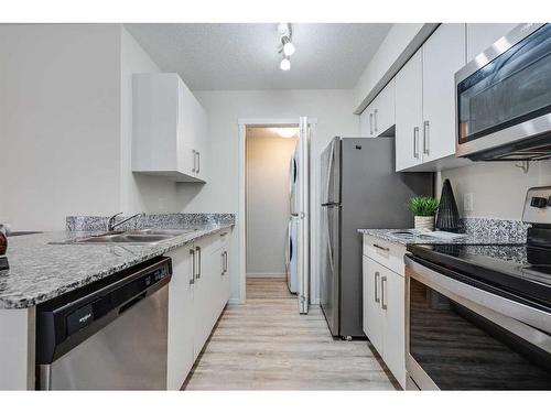 2215-4641 128 Avenue Ne, Calgary, AB - Indoor Photo Showing Kitchen With Double Sink