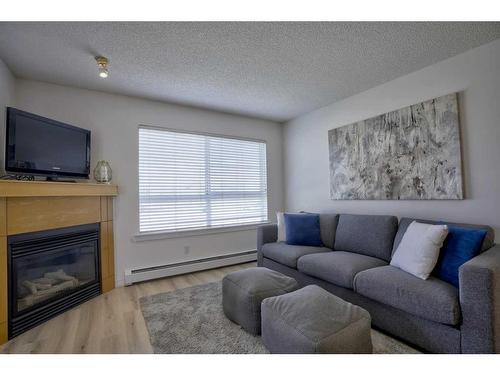 231-22 Richard Place Sw, Calgary, AB - Indoor Photo Showing Living Room With Fireplace