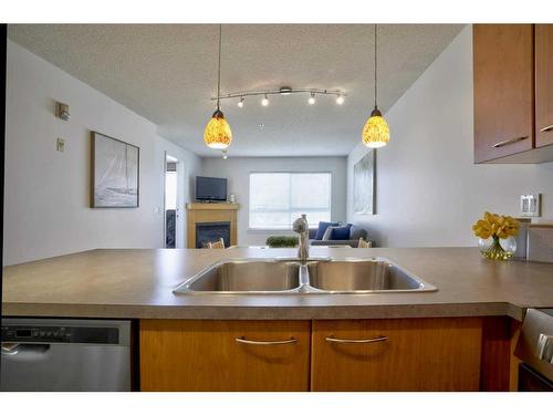 231-22 Richard Place Sw, Calgary, AB - Indoor Photo Showing Kitchen With Double Sink