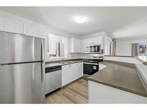 1101-4975 130 Avenue Se, Calgary, AB - Indoor Photo Showing Kitchen With Stainless Steel Kitchen With Double Sink