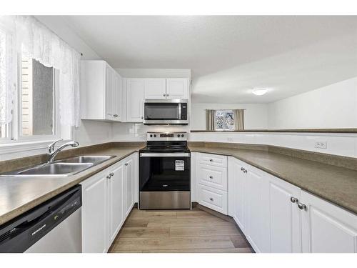 1101-4975 130 Avenue Se, Calgary, AB - Indoor Photo Showing Kitchen With Double Sink