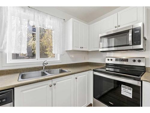 1101-4975 130 Avenue Se, Calgary, AB - Indoor Photo Showing Kitchen With Double Sink
