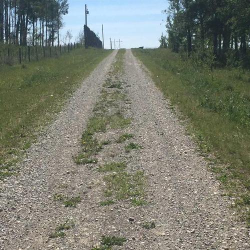 4142 Twp Road 290, Rural Mountain View County, AB - Other