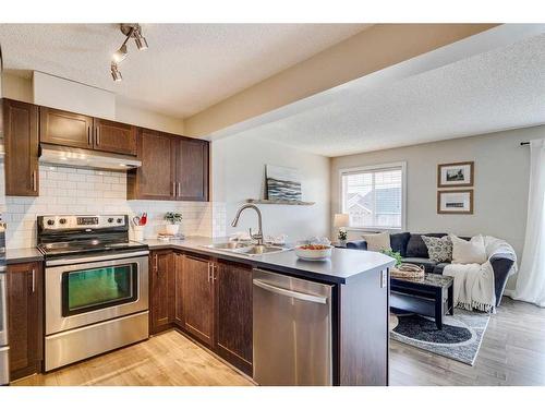 133 Pantego Lane Nw, Calgary, AB - Indoor Photo Showing Kitchen With Stainless Steel Kitchen With Double Sink