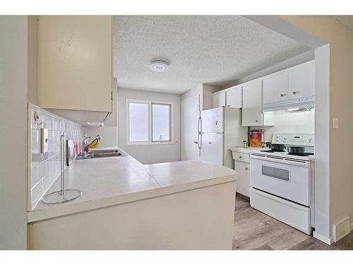 309/311 27 Avenue Ne, Calgary, AB - Indoor Photo Showing Kitchen With Double Sink