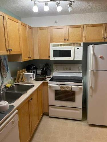 307-4000 Citadel Meadow Point Nw, Calgary, AB - Indoor Photo Showing Kitchen With Double Sink