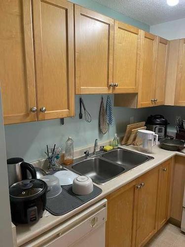 307-4000 Citadel Meadow Point Nw, Calgary, AB - Indoor Photo Showing Kitchen With Double Sink