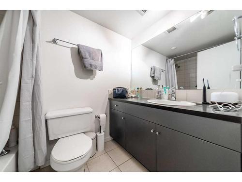304-1209 6 Street Sw, Calgary, AB - Indoor Photo Showing Bathroom
