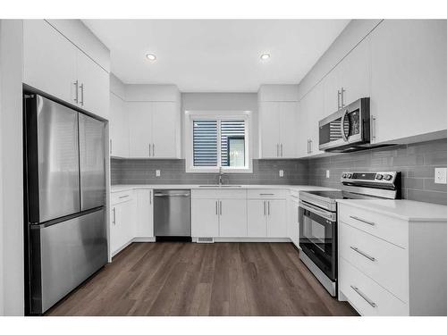 163 Homestead Park Ne, Calgary, AB - Indoor Photo Showing Kitchen With Stainless Steel Kitchen With Upgraded Kitchen