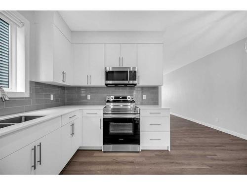 163 Homestead Park Ne, Calgary, AB - Indoor Photo Showing Kitchen With Double Sink