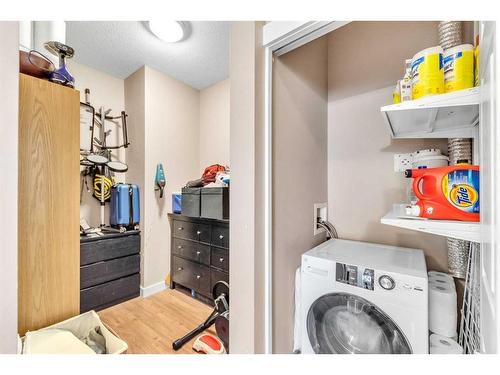 301-3950 46 Avenue Nw, Calgary, AB - Indoor Photo Showing Laundry Room