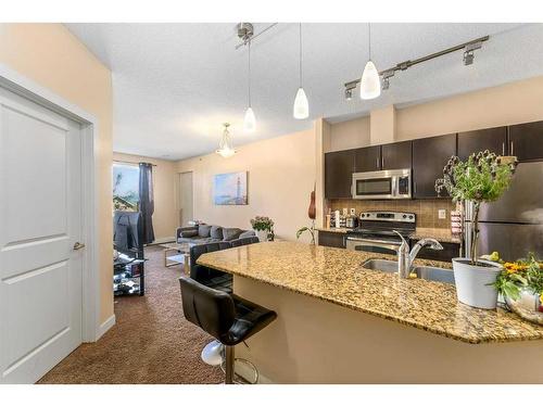 321-2727 28 Avenue Se, Calgary, AB - Indoor Photo Showing Kitchen With Double Sink With Upgraded Kitchen