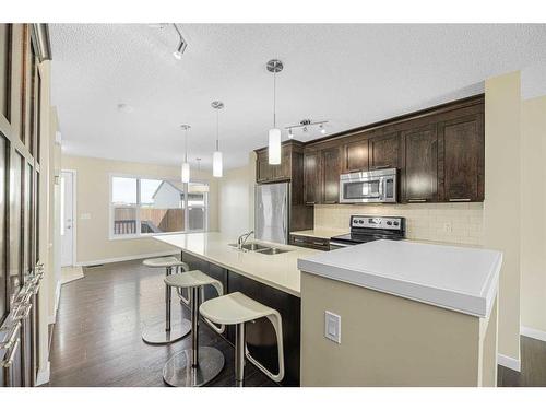 206 Cranford Park Se, Calgary, AB - Indoor Photo Showing Kitchen With Double Sink With Upgraded Kitchen