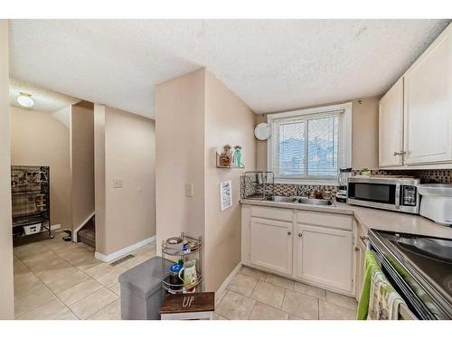 1006-390 Falconridge Crescent Ne, Calgary, AB - Indoor Photo Showing Kitchen With Double Sink