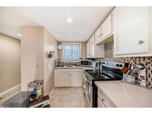 1006-390 Falconridge Crescent Ne, Calgary, AB - Indoor Photo Showing Kitchen With Double Sink