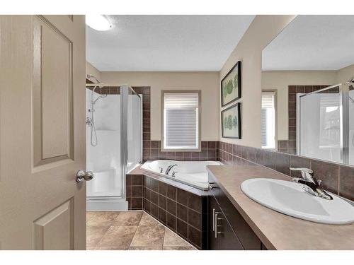 211 Skyview Ranch Way Ne, Calgary, AB - Indoor Photo Showing Bathroom