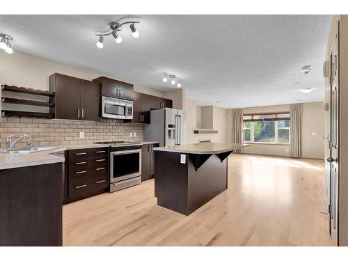 211 Skyview Ranch Way Ne, Calgary, AB - Indoor Photo Showing Kitchen With Double Sink With Upgraded Kitchen
