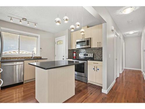 63 Templeridge Close Ne, Calgary, AB - Indoor Photo Showing Kitchen With Stainless Steel Kitchen With Upgraded Kitchen