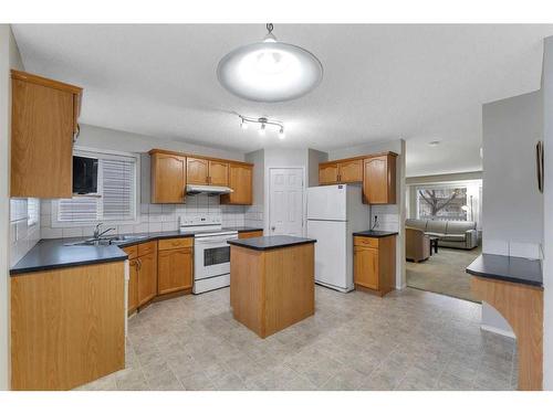 158 Tarawood Road Ne, Calgary, AB - Indoor Photo Showing Kitchen With Double Sink