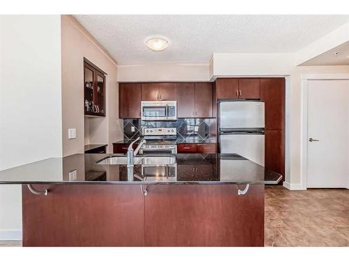 1009-8880 Horton Road Sw, Calgary, AB - Indoor Photo Showing Kitchen With Double Sink