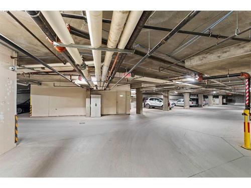 204-5000 Somervale Court Sw, Calgary, AB - Indoor Photo Showing Garage