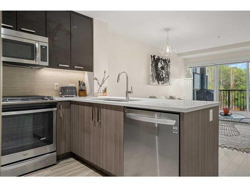 214-510 Edmonton Trail Ne, Calgary, AB - Indoor Photo Showing Kitchen With Upgraded Kitchen