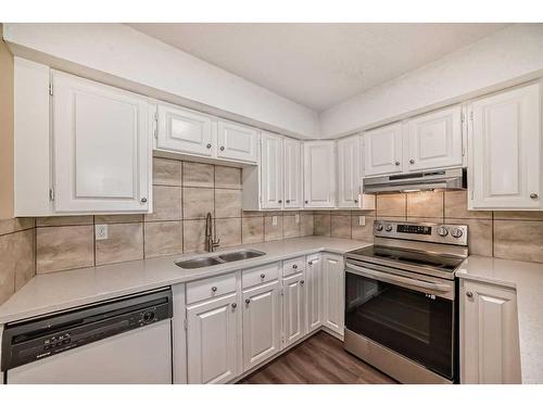 107-12 Blackthorn Bay Ne, Calgary, AB - Indoor Photo Showing Kitchen With Double Sink