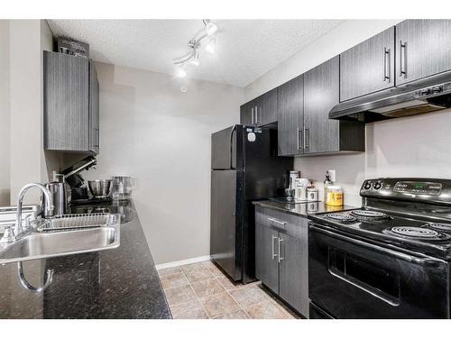 404-15 Saddlestone Way Ne, Calgary, AB - Indoor Photo Showing Kitchen With Double Sink