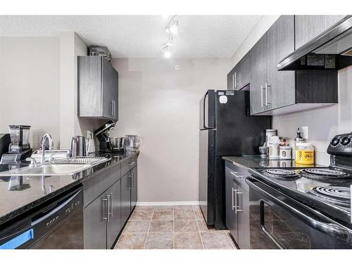 404-15 Saddlestone Way Ne, Calgary, AB - Indoor Photo Showing Kitchen With Double Sink