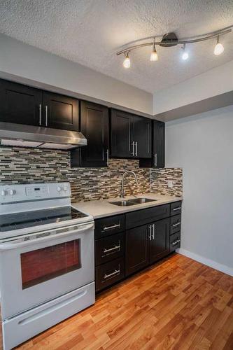 3615 27A Avenue Se, Calgary, AB - Indoor Photo Showing Kitchen With Double Sink