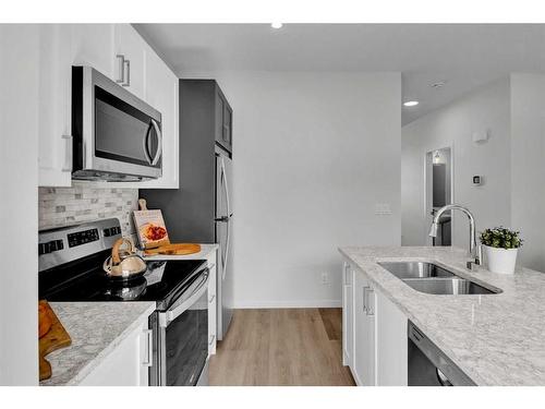 254 Aquila Way Nw, Calgary, AB - Indoor Photo Showing Kitchen With Double Sink With Upgraded Kitchen