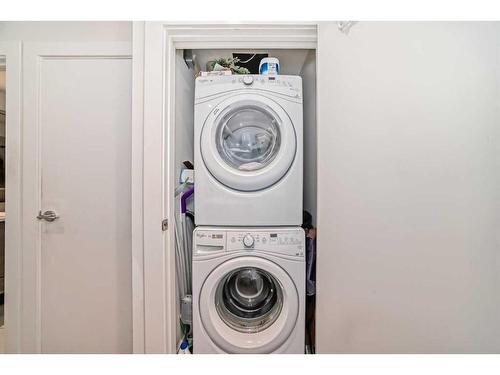 313-38 9 Street Ne, Calgary, AB - Indoor Photo Showing Laundry Room