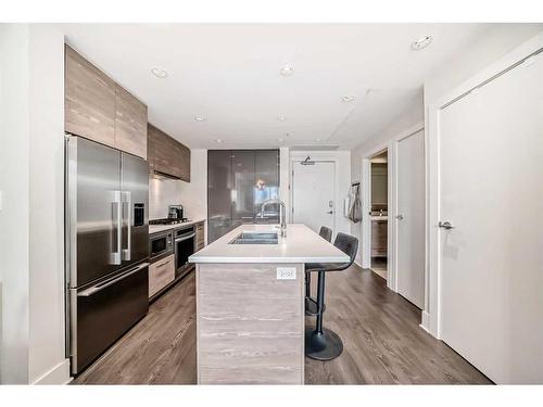 313-38 9 Street Ne, Calgary, AB - Indoor Photo Showing Kitchen With Double Sink With Upgraded Kitchen