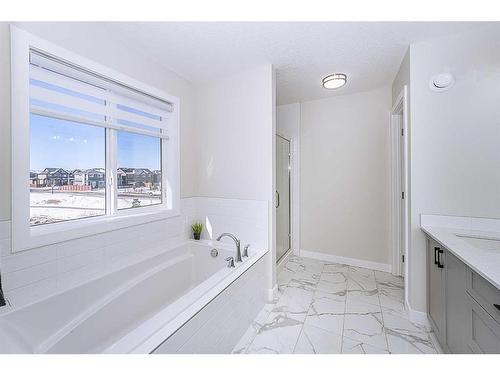 15 Midgrove Drive Sw, Airdrie, AB - Indoor Photo Showing Bathroom