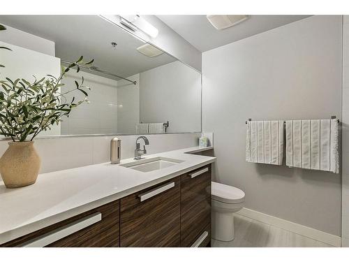 101-235 9A Street Nw, Calgary, AB - Indoor Photo Showing Bathroom