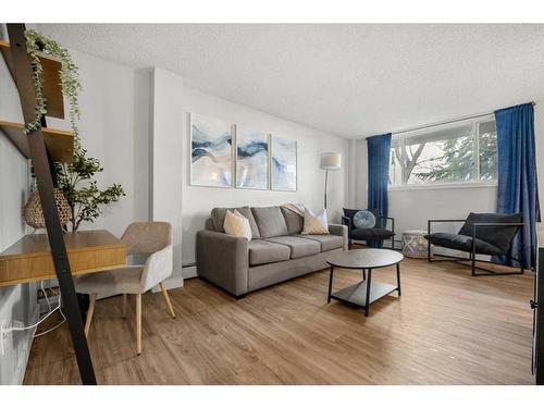 101-313 20 Avenue Sw, Calgary, AB - Indoor Photo Showing Living Room