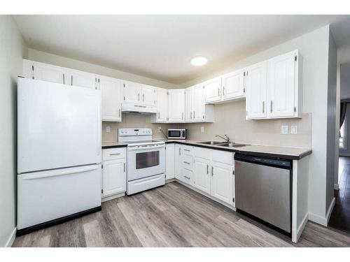 133 Falton Drive Ne, Calgary, AB - Indoor Photo Showing Kitchen With Double Sink