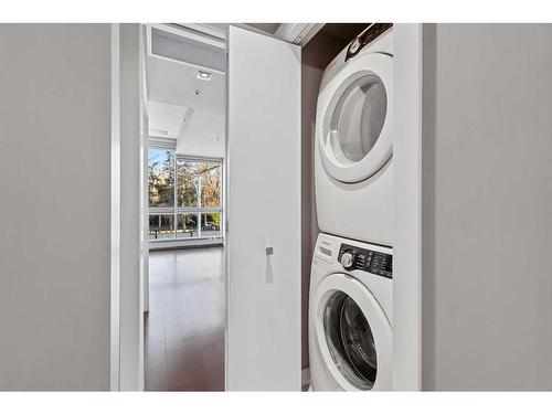 111-235 9A Street Nw, Calgary, AB - Indoor Photo Showing Laundry Room