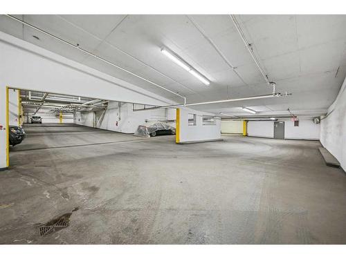 111-235 9A Street Nw, Calgary, AB - Indoor Photo Showing Garage