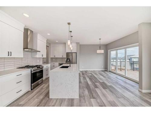 38 Calhoun Crescent, Calgary, AB - Indoor Photo Showing Kitchen With Stainless Steel Kitchen With Upgraded Kitchen