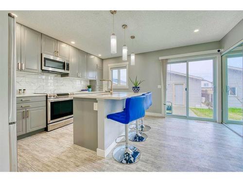 115 Martin Crossing Close Ne, Calgary, AB - Indoor Photo Showing Kitchen With Upgraded Kitchen