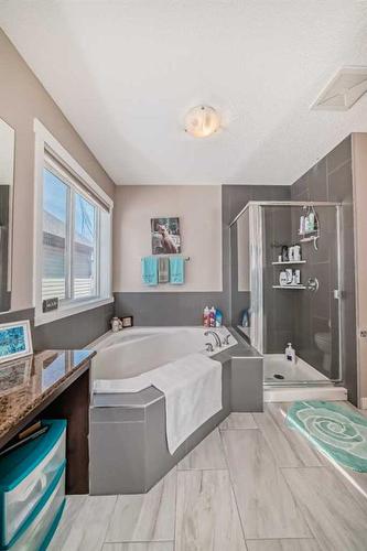 1049 Kingston Crescent Se, Airdrie, AB - Indoor Photo Showing Bathroom
