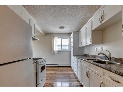 403-1817 11 Avenue Sw, Calgary, AB - Indoor Photo Showing Kitchen With Double Sink