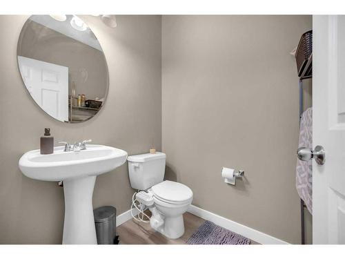 15 Skyview Point Road Ne, Calgary, AB - Indoor Photo Showing Bathroom