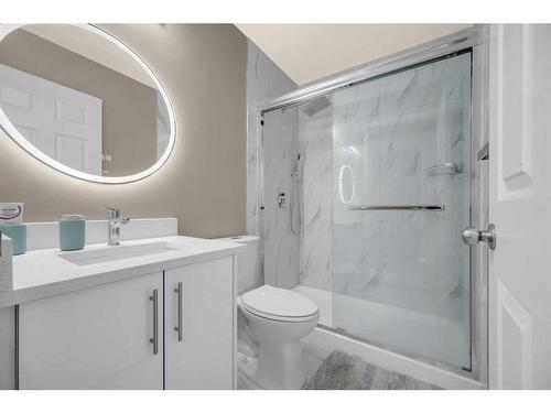 15 Skyview Point Road Ne, Calgary, AB - Indoor Photo Showing Bathroom