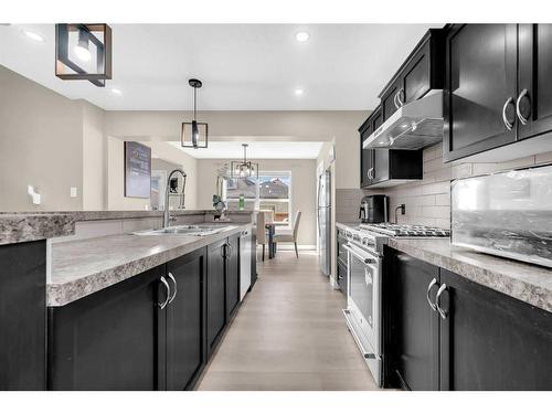 15 Skyview Point Road Ne, Calgary, AB - Indoor Photo Showing Kitchen With Double Sink With Upgraded Kitchen
