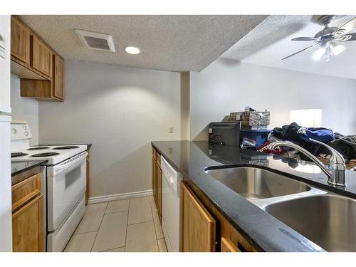 902-738 3 Avenue Sw, Calgary, AB - Indoor Photo Showing Kitchen With Double Sink
