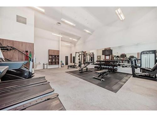402-88 9 Street Ne, Calgary, AB - Indoor Photo Showing Gym Room